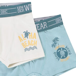 Lot de 5 boxers motifs Turtle Island pour garçon 
