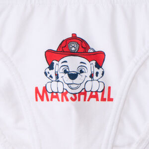 Pack de 3 calzoncillos de jersey estampados de La Patrulla Canina para niño  Main Pack de 3 calzoncillos de jersey estampados de La Patrulla Canina para niño