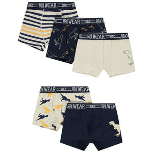 Pack de 5 bóxers Dinosaure para niño  Main Pack de 5 bóxers Dinosaure para niño