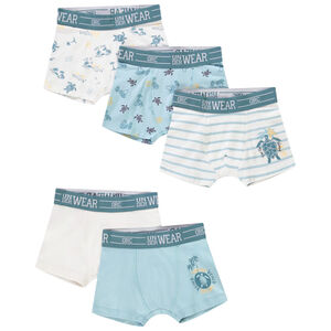 Lot de 5 boxers motifs Turtle Island pour garçon 