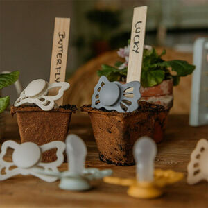 Lot de 2 sucettes silicone T1 Lucky sage/great gray 