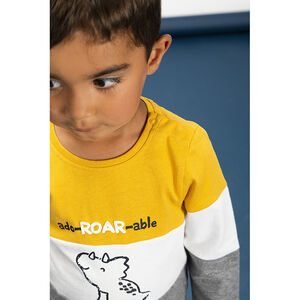 T-shirt color block à manches longues avec print pour bébé garçon Main T-shirt color block à manches longues avec print pour bébé garçon