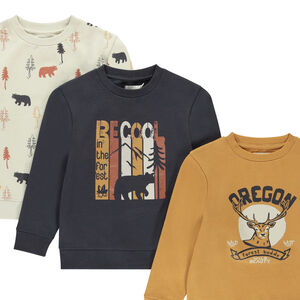 Pack de 3 sudaderas de felpa con estampados fantásticos niño 