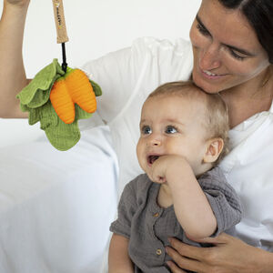 Cathy the Carrot Mini Doudou-Teether 