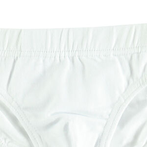 Lote de 2 slips de algodones lisos 
