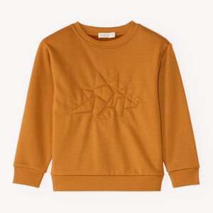 Sudadera de forro polar para niño 