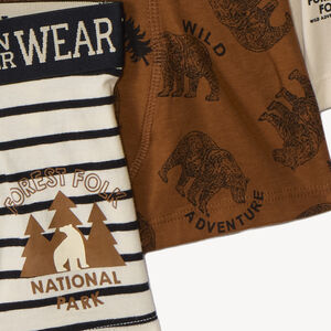 Lote de 5 calzoncillos tipo bóxer con estampado de osos para niño 