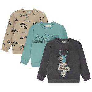Pack de 3 sudaderas de lana con estampado de montaña para niño Main Pack de 3 sudaderas de lana con estampado de montaña para niño