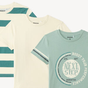 Lote de 3 camisetas de manga corta para niño. 