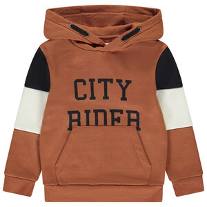 Sudadera de felpa con capucha y efecto color block para niño 