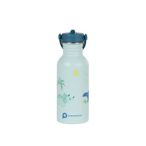 Botella de acero inoxidable con pajita Dino Rigolo - 500 ml 
