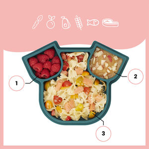 Plato compartimentado de silicona ISY PLATE - Perro 