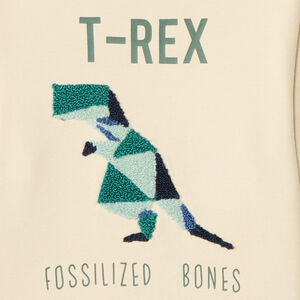 Sudadera de molleton con bordado efecto rizo para niño 