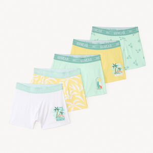 Lote de 5 boxers con estampado de palmeras para niño 