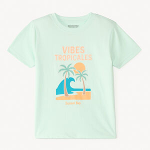 Camiseta de manga corta lisa con estampado veraniego para niño. 