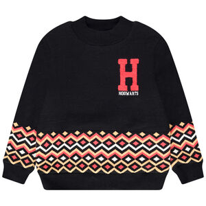 Pull en tricot print Harry Potter Warner pour garçon 