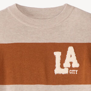 Jersey de niño de punto con bordado de bucle. 
