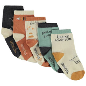 Pack de 5 pares de calcetines fantásticos para bebé niño  Main Pack de 5 pares de calcetines fantásticos para bebé niño