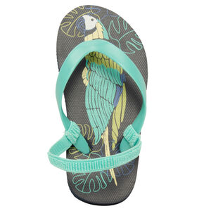 Tongs estampadas de loro para niño con tira según la edad 