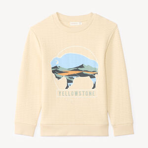 Sudadera para niño de punto texturizado y estampado divertido 