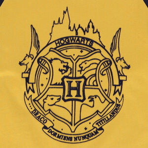 Camiseta de manga larga raglán en jersey con print de Harry Potter de Warner 