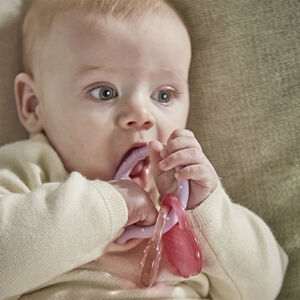 Mordedor bebé Cooling Teether lila/ rosa 