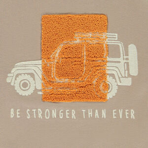 Camiseta de manga larga con estampado y detalles de rizo para niño 