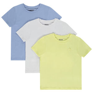 Pack de 3 camisetas de manga corta con estampado puff de palmeras para niño 