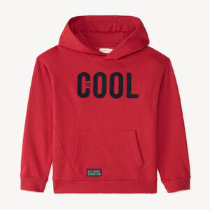 Sudadera con capucha para niño con bordado de felpa. 