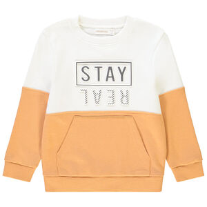 Sweat en molleton color block pour enfant garçon Main Sweat en molleton color block pour enfant garçon