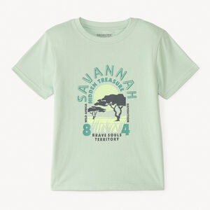 Camiseta de manga corta lisa con estampado y bordado de fantasía veraniega para niño. 