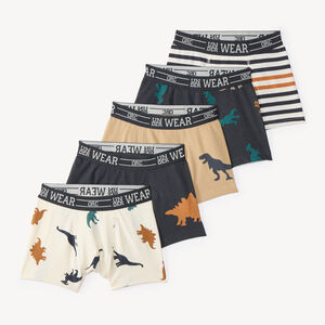 Conjunto de 5 bóxers con motivos de dinosaurios para niño 