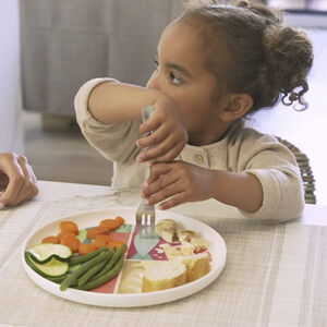 Plato para aprender a comer sano Nutrihealthy 