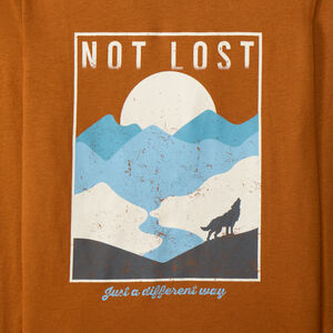 Lote de 4 camisetas de manga larga fantasía para niño 