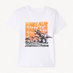 T-shirt manches courtes print fantaisie pour garçon  