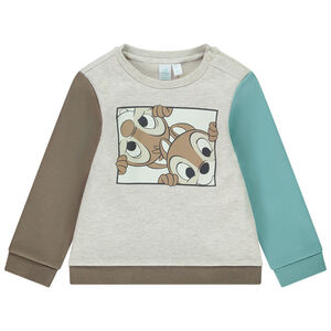Sudadera de felpa efecto colorblock Tic & Tac Disney para bebé niño 