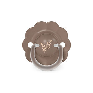 Chupete tetina fisiológica silicona SX PRO Wonder 6-18M Marrón decorado 