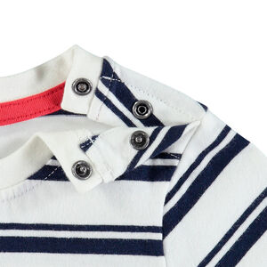 Lot de 3 t-shirts manches courtes en coton 