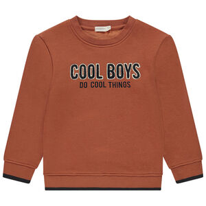 Sudadera de felpa con velours y bordado para niño 