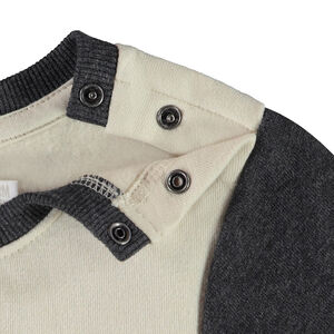 Conjunto de chándal con estampado de león para bebé niño 