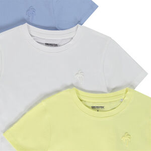 Pack de 3 camisetas de manga corta con estampado puff de palmeras niño 