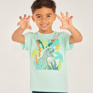 Camiseta de manga corta con estampado fantasía y parche de bucles para niño. 