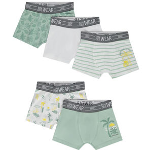 Lote de 5 bóxers fantasía para niño 