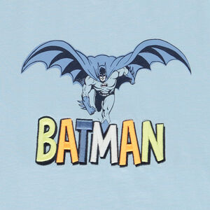 Camiseta manga corta Batman Warner niño 