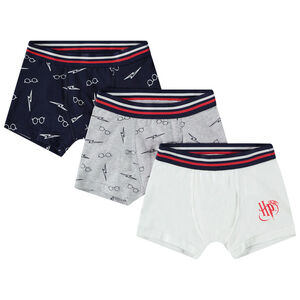 Pack de 3 bóxers Harry Potter Warner para niño 