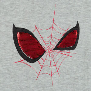 Conjunto Spider-Man 
