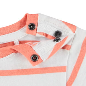 Conjunto camiseta manga corta + bermudas -"Baby Whale" 