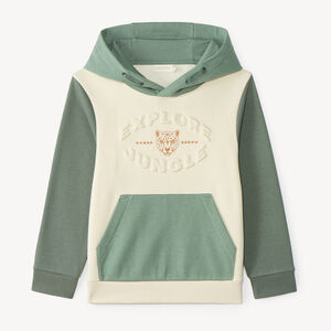 Sudadera con capucha para niño a bloques de color 