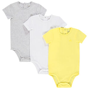 Pack 3 bodies Main Pack 3 bodies