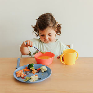 Vajilla infantil Mealseat Explore 